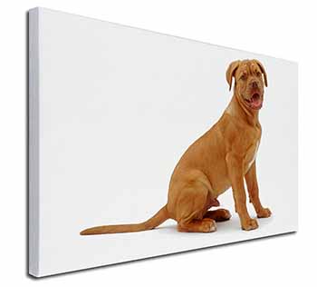 Dogue De Bordeaux Dog Canvas X-Large 30"x20" Wall Art Print