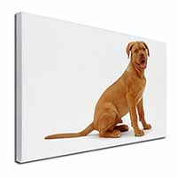 Dogue De Bordeaux Dog Canvas X-Large 30"x20" Wall Art Print