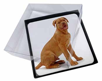 4x Dogue De Bordeaux Dog Picture Table Coasters Set in Gift Box