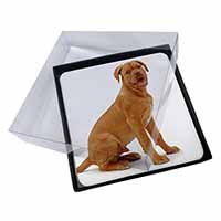 4x Dogue De Bordeaux Dog Picture Table Coasters Set in Gift Box