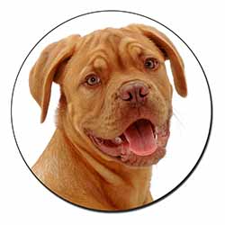 Dogue De Bordeaux Dog Fridge Magnet Printed Full Colour