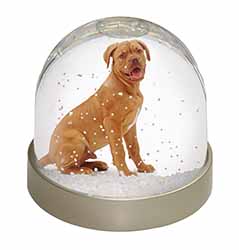 Dogue De Bordeaux Dog Snow Globe Photo Waterball