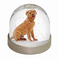 Dogue De Bordeaux Dog Snow Globe Photo Waterball