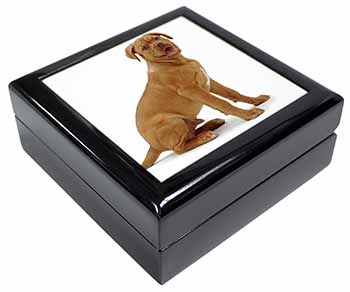 Dogue De Bordeaux Dog Keepsake/Jewellery Box