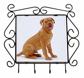 Dogue De Bordeaux Dog Wrought Iron Key Holder Hooks