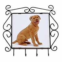 Dogue De Bordeaux Dog Wrought Iron Key Holder Hooks