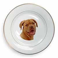 Dogue De Bordeaux Dog Gold Rim Plate Printed Full Colour in Gift Box