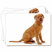 Dogue De Bordeaux Dog Picture Placemats in Gift Box