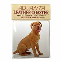 Dogue De Bordeaux Dog Single Leather Photo Coaster