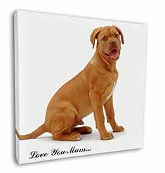 Dogue De Bordeaux 