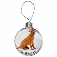 Dogue De Bordeaux 