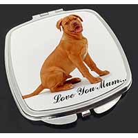 Dogue De Bordeaux 