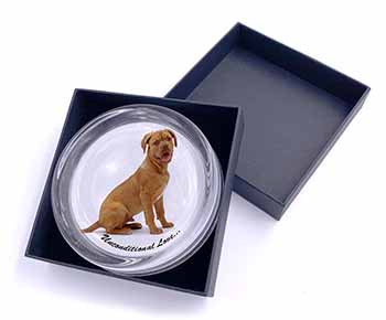 Dogue De Bordeaux-With Love Glass Paperweight in Gift Box