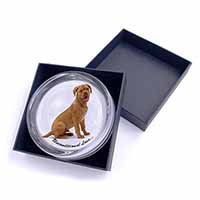 Dogue De Bordeaux-With Love Glass Paperweight in Gift Box