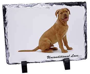 Dogue De Bordeaux-With Love, Stunning Photo Slate