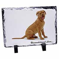 Dogue De Bordeaux-With Love, Stunning Photo Slate