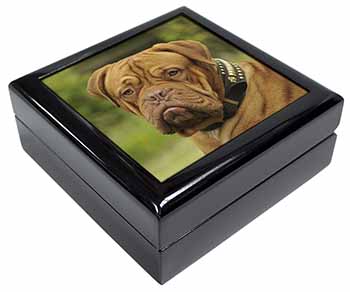 Dogue De Bordeaux Keepsake/Jewellery Box