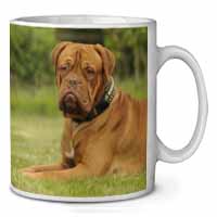 Dogue De Bordeaux Ceramic 10oz Coffee Mug/Tea Cup Printed Full Colour - Advanta Group®