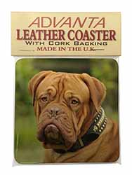 Dogue De Bordeaux Single Leather Photo Coaster