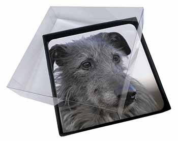 4x Deerhound Dog Picture Table Coasters Set in Gift Box