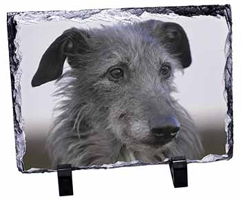 Deerhound Dog, Stunning Photo Slate