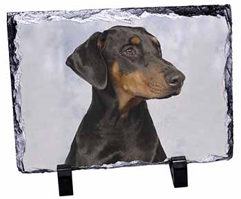 Doberman Pinscher Dog, Stunning Photo Slate