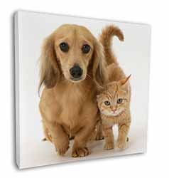Dachshund Dog and Kitten Square Canvas 12"x12" Wall Art Picture Print