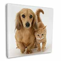 Dachshund Dog and Kitten Square Canvas 12"x12" Wall Art Picture Print