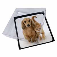 4x Dachshund Dog and Kitten Picture Table Coasters Set in Gift Box