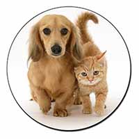 Dachshund Dog and Kitten Fridge Magnet Printed Full Colour