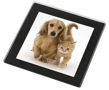 Dachshund Dog and Kitten Black Rim High Quality Glass Coaster
