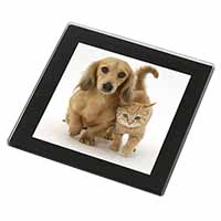 Dachshund Dog and Kitten Black Rim High Quality Glass Coaster