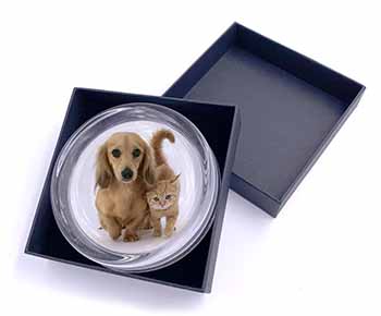 Dachshund Dog and Kitten Glass Paperweight in Gift Box