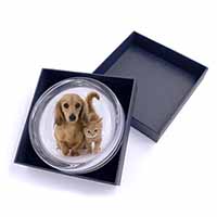 Dachshund Dog and Kitten Glass Paperweight in Gift Box