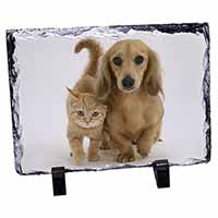 Dachshund Dog and Kitten, Stunning Photo Slate