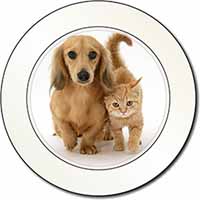 Dachshund Dog and Kitten Car or Van Permit Holder/Tax Disc Holder