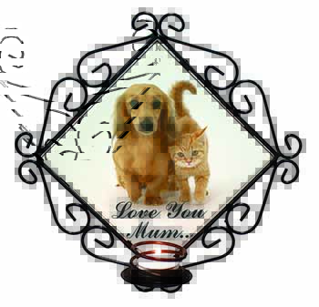 Dog and Kitten 