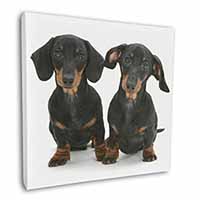 Cute Dachshund Dogs Square Canvas 12"x12" Wall Art Picture Print
