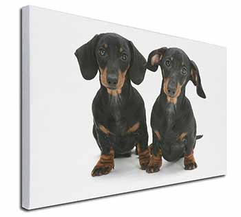 Cute Dachshund Dogs Canvas X-Large 30"x20" Wall Art Print