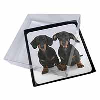 4x Cute Dachshund Dogs Picture Table Coasters Set in Gift Box