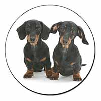 Cute Dachshund Dogs Fridge Magnet Printed Full Colour