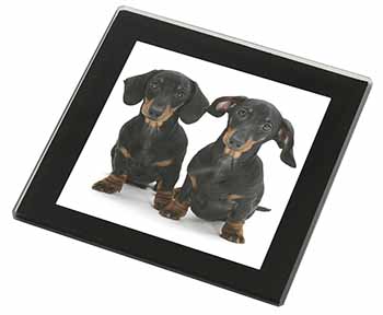 Cute Dachshund Dogs Black Rim High Quality Glass Coaster