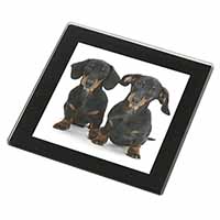 Cute Dachshund Dogs Black Rim High Quality Glass Coaster