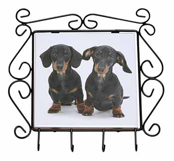 Cute Dachshund Dogs Wrought Iron Key Holder Hooks