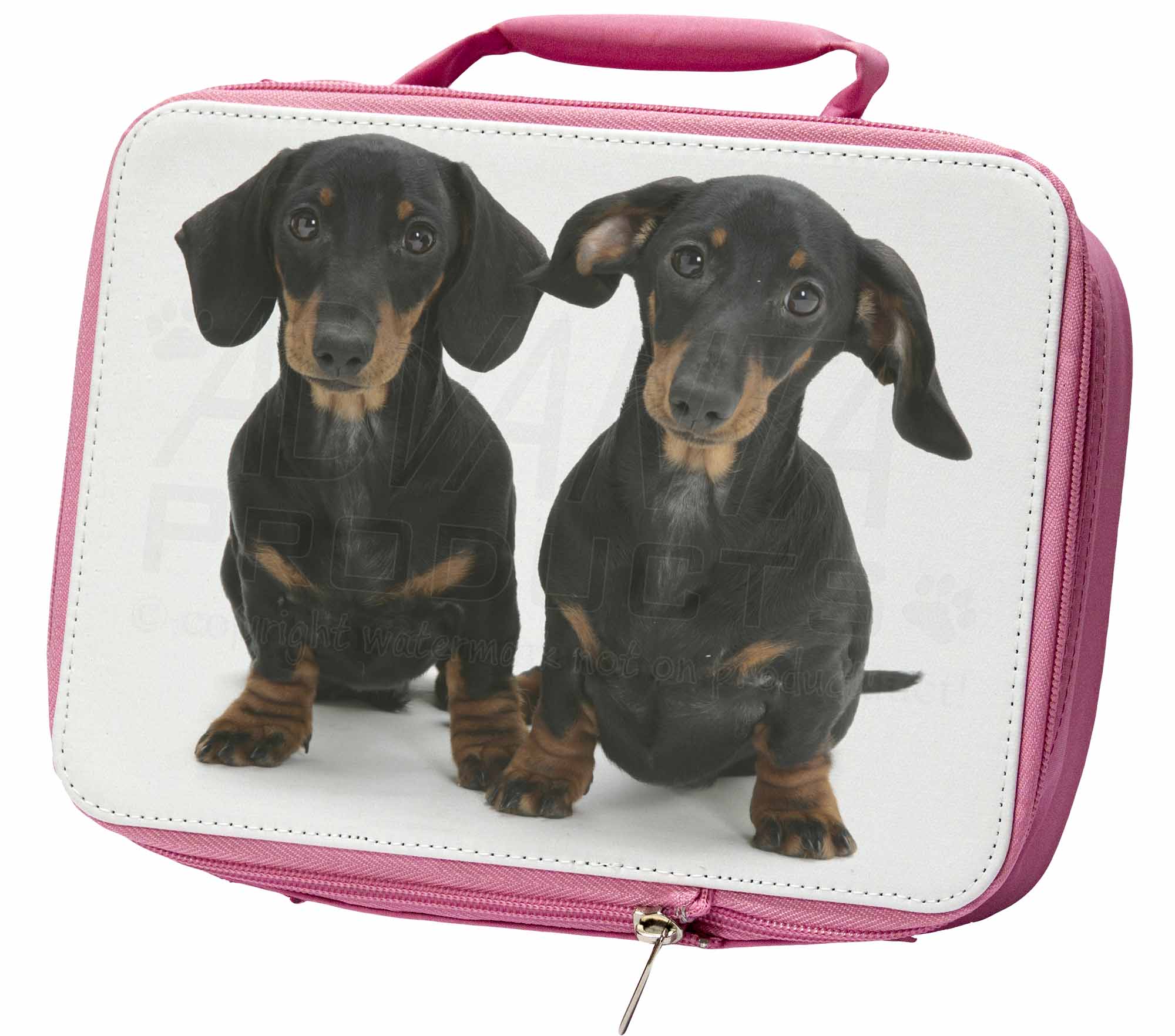 dachshund insulated lunch bag