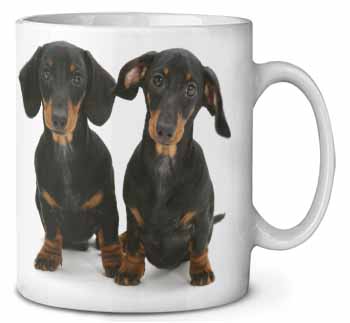 Cute Dachshund Dogs Ceramic 10oz Coffee Mug/Tea Cup