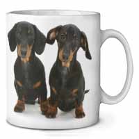 Cute Dachshund Dogs Ceramic 10oz Coffee Mug/Tea Cup