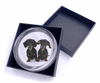 Cute Dachshund Dogs Glass Paperweight in Gift Box