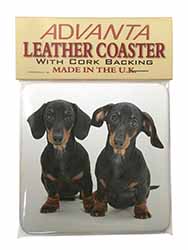 Cute Dachshund Dogs Single Leather Photo Coaster