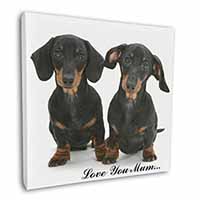 Dachshund Dogs 